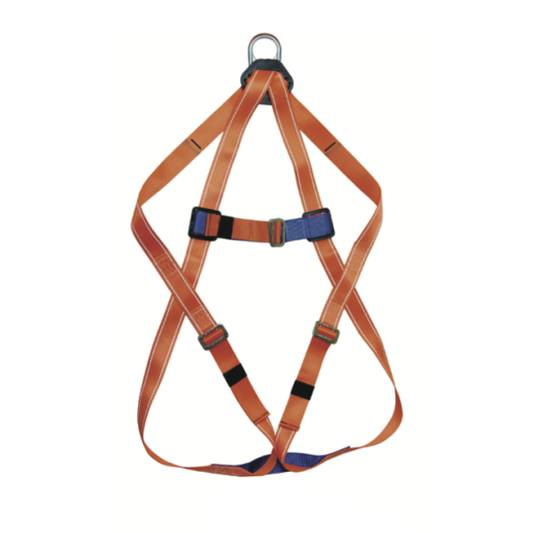 arnes 1 arillo